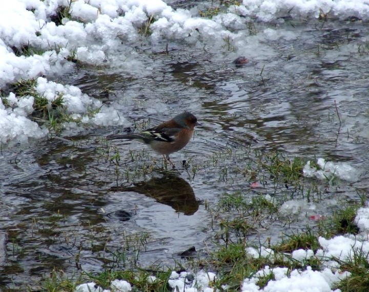 Brrr... jak zimno ;P